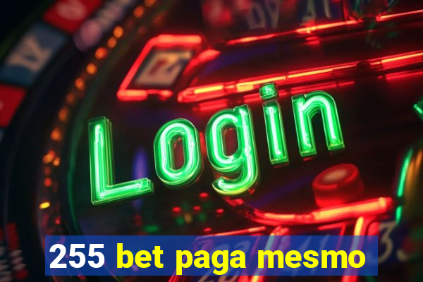 255 bet paga mesmo